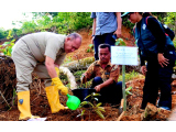 Aksi Hijau di Tukka! Wabup Tapteng Gaungkan Penanaman Pohon untuk Cegah Bencana dan Selamatkan Batangtoru