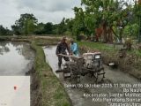 Babinsa Dampingi Petani untuk Perkuat Ketahanan Pangan