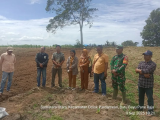 Babinsa Koramil 15/Dolok Pardamean Tanam Jagung di Lahan 6 Hektare Dukung Ketahanan Pangan Nasional