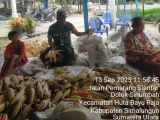Babinsa Perdagangan Dampingi Penggilingan Jagung Dalam Upaya Ketahanan Pangan di Simalungun