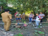 Banjir Meresahkan, Prayogi Sinaga Tinjau Tanggul Sungai