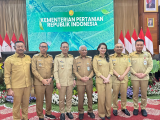 ﻿Bupati Tapanuli Utara Hadiri Rakornas Hilirisasi Perkebunan: Dorong Kopi dan Kakao Jadi Komoditas Unggulan