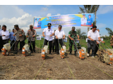Bupati Tapanuli Utara Tanam Jagung dan Durian Montong di Garoga, Perkuat Ketahanan Pangan dan Dorong Perekonomian Lokal