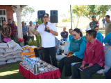 Bupati Taput Bagikan Bibit Jagung Dan Kacang Tanah Varietas Sihobuk