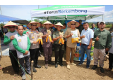Bupati Taput Tanam Jagung di Pangaribuan, Tegaskan Komitmen Dukung Ketahanan Pangan dan Petani Lokal