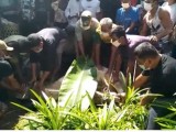 Dampak Covid-19, Jumlah Hewan Qurban di Siantar Turun Drastis