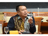 DPR RI Sebut Program Food Estate Kemhan Gagal: Daripada Kita Ribut, Mending Turunkan BPK