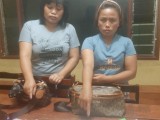 Rampok dan Bunuh Porta Tumanggor, 2 Wanita Ini Ditangkap di Hotel