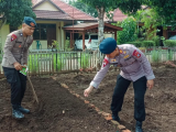 Dukung Ketahanan Pangan, Brimob Polda Sumut Rawat Lahan P2L Kompi 2 Batalyon C