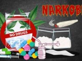 Gawat! 1,7 Juta Warga Sumut Terpapar Narkoba