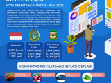 Harga Cabai dan Mobil Naik Timbulkan Inflasi di Siantar