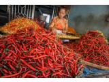 Harga Cabe Naik Sebabkan Inflasi di Siantar