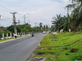 Hati – Hati ! Pemilik Hewan Ternak Dapat Diancam Pidana dan Perdata, Apabila….