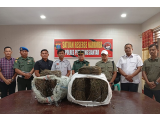 ﻿Heboh! 49 Kilogram Ganja Ditemukan di Semak Belakang Kampus USI Pematangsiantar