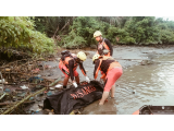 Hindari Kejaran Polisi, Sapriono Ditemukan Tewas di Sungai