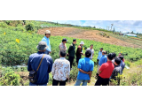 Humbang Hasundutan Siap Jadi Sentra Nilam Nasional, Pemerintah Dorong Pilot Project Integrated Farming 10 Hektare