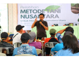 INALUM dan Pemkab Dairi Latih Petani dengan Metode Tani Nusantara, Dorong Pertanian Organik dan Swasembada Pangan