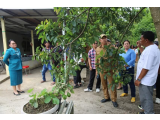 Kebun Inspiratif di Peatolong: Bupati Taput dan Ketua TP PKK Dukung Ketahanan Pangan Lokal