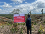 ﻿Kemenhut Ungkap Lima Titik Pembalakan Liar Penyebab Banjir Besar di Sumatra