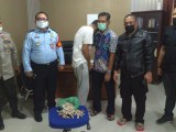 Lintasi Jalur Mudik Simalungun, WNA Mesir Ketangkap Bawa 31 Paket Ganja