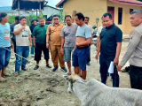 Lurah Sinaksak Turun Langsung Saat Warga Tangkap Terduga Pencuri Anak Lembu di Simalungun