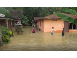 Luwu Timur Diterjang Banjir, 999 Warga Terdampak