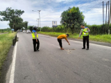 ﻿Maut di Jalan Medan–Tebing Tinggi! Pengendara Harley Davidson Tewas Tergilas Truk Trailer di Sergai