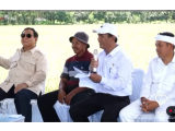 Mentan, Stok Beras 3 Juta Ton, Tertinggi Dalam Dua Dekade Terakhir