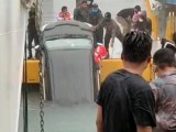 Mobil Jatuh ke Danau dari KMP Ihan Batak, 1 Penumpang Tewas