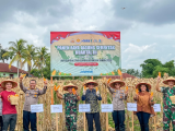 Panen Jagung Serentak di Pematangsiantar: Sinergi Pemda dan Polres Dorong Ketahanan Pangan Menuju Swasembada 2025
