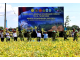 Panen Raya Kedelai di Nganjuk, TNI AL dan Pemerintah Perkuat Misi Swasembada Pangan Nasional