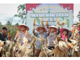 Pemkab Humbahas dan Kapolres Hadiri Paen Raya di Lintongnihuta