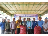 Pemkab Taput Serahkan Bantuan Bibit Bawang Merah CSR SOL untuk Kelompok Tani Desa Sigurunggurung