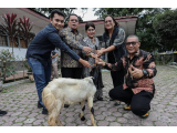 Pemko Pematangsiantar Apresiasi Juara HKG PKK 2025, Wali Kota Serahkan Hadiah Kambing dari Bank Sumut