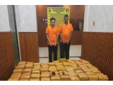 Polda Sumut Tangkap Dua Kurir 255 Kg Ganja Asal Aceh, Ungkap Jaringan Besar Narkotika
