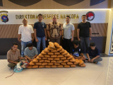 Polisi Gagalkan Peredaran 47 Kg Ganja di Sumatera Barat
