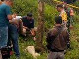 Remaja Perempuan Ditemukan Tewas di Perkebunan Karet Bridgestone Simalungun