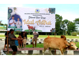 Semangat Berbagi Idul Adha, Kodim 0207/Simalungun Sembelih 11 Hewan Kurban untuk Warga dan Kaum Dhuafa