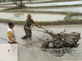 Sertu D. Sirait Bantu Warga Olah Lahan Sawah