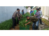 Sukses Panen 101 Kg Kangkung, Napi Lapas Sibolga Tunjukkan Kemandirian!