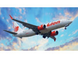 ﻿Teriakan “Ada Bom!” di Pesawat Lion Air: Panik Massal, Anak Menangis, Penerbangan Dibatalkan