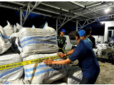 TNI AL dan Bea Cukai Gagalkan Penyelundupan Rp1,7 Miliar di Jayapura, Vanili Super dan Ballpress Diamankan