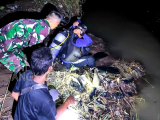 TNI AL Gerak Cepat! Dua Remaja Tenggelam di Sungai Cisanggarung Berhasil Dievakuasi