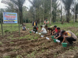 TNI- Polri dan BUMNAG Kolaborasi Kembangkan Jahe Putih dan Bawang Merah