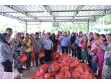 TP PKK Tapteng Salurkan Bantuan Sembako untuk Korban Banjir Bandang dan Longsor di Andam Dewi