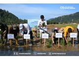 Wagub Sumut Pimpin Groundbreaking Rehabilitasi Sawah di Tapteng, Ketahanan Pangan Diperkuat