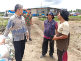 Wakil Bupati Tapanuli Utara, Deni P. Lumbantoruan Kunjungi Lahan Pertanian Ubi Jalar Organik