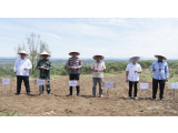 ﻿Wakil Bupati Taput Dukung Program Tanam Jagung Serentak Polri: Dorong Kemandirian dan Ketahanan Pangan Nasional