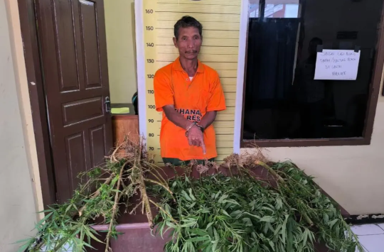 Pria berinisial MS (55) saat diamankan di Polres Taput