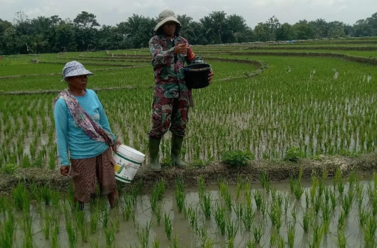 Sertu D. Sirait, melaksanakan kegiatan komsos bersama Poktan Nainggolan yang berada di Kelurahan Sukaraja (foto: Pendim0207/SML)
